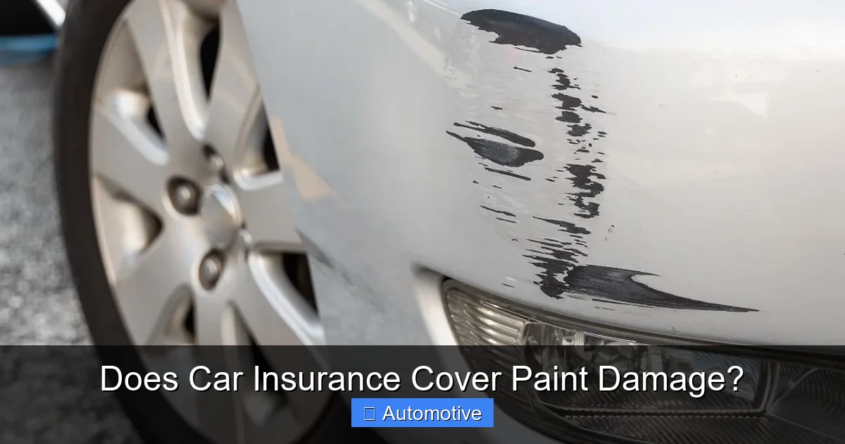 Does Car Insurance Cover Paint Damage?