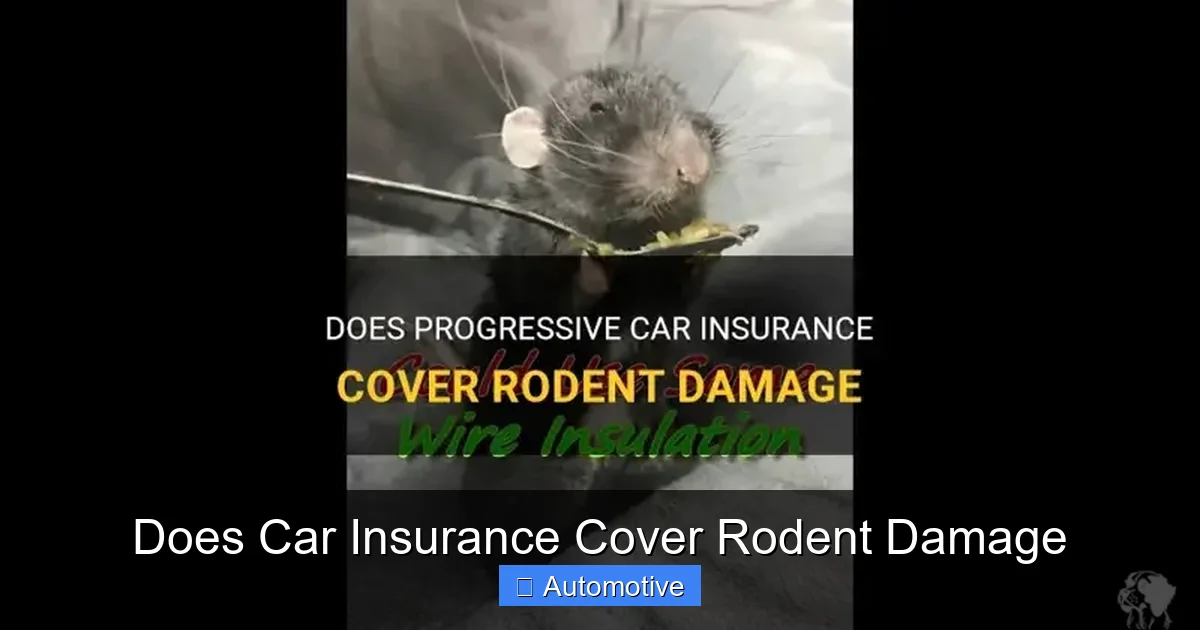 Does Car Insurance Cover Rodent Damage