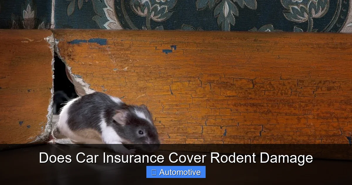 Does Car Insurance Cover Rodent Damage