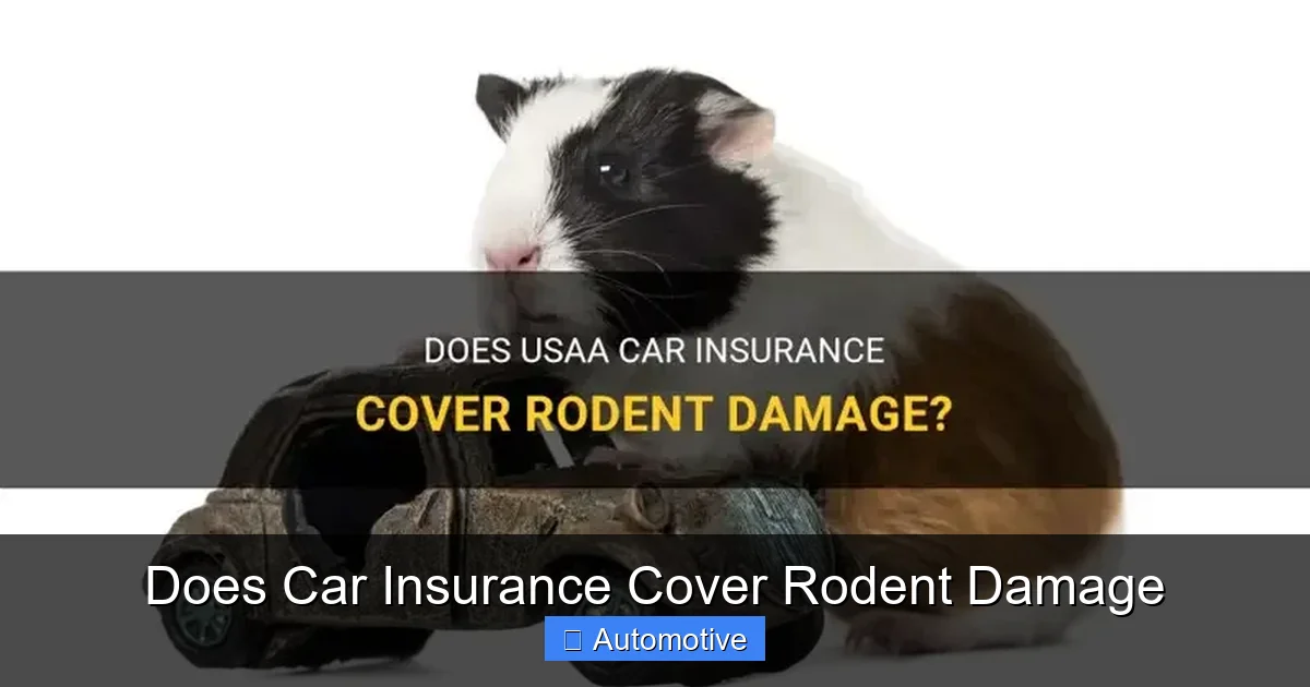 Does Car Insurance Cover Rodent Damage
