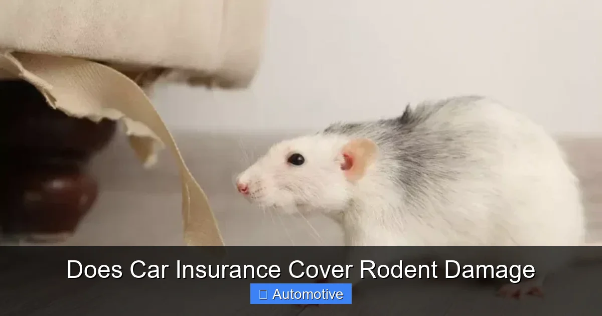 Does Car Insurance Cover Rodent Damage