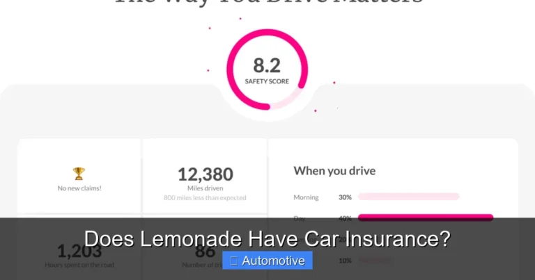 Does Lemonade Have Car Insurance?