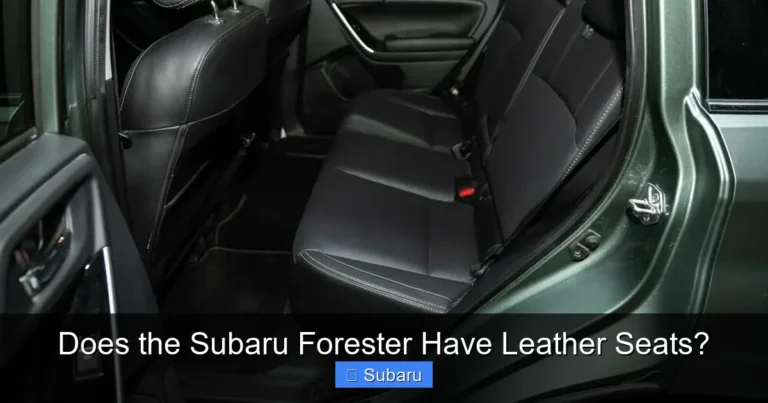 Does the Subaru Forester Have Leather Seats?