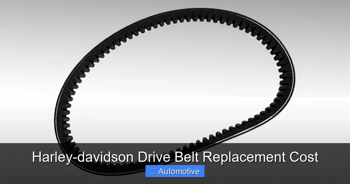 Harley-davidson Drive Belt Replacement Cost