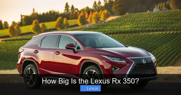 How Big Is the Lexus Rx 350?
