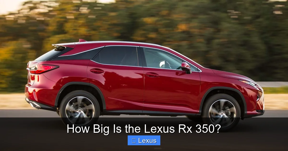 How Big Is the Lexus Rx 350?