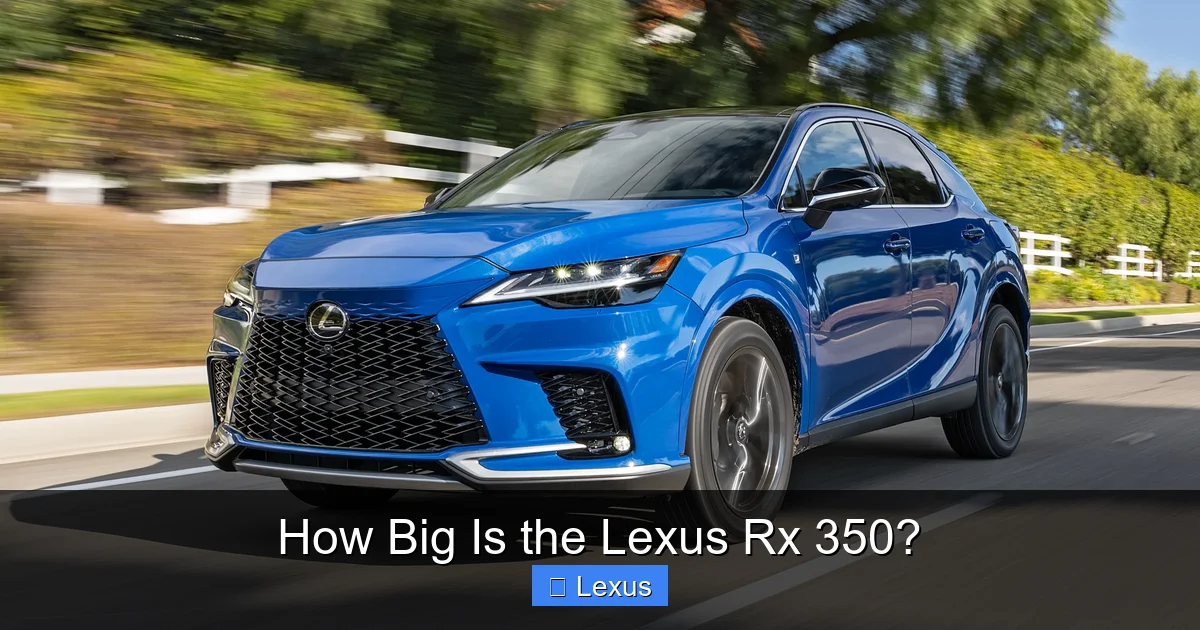 How Big Is the Lexus Rx 350?