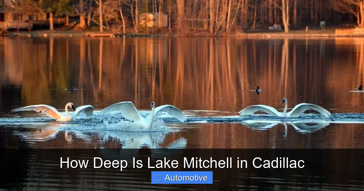 How Deep Is Lake Mitchell in Cadillac