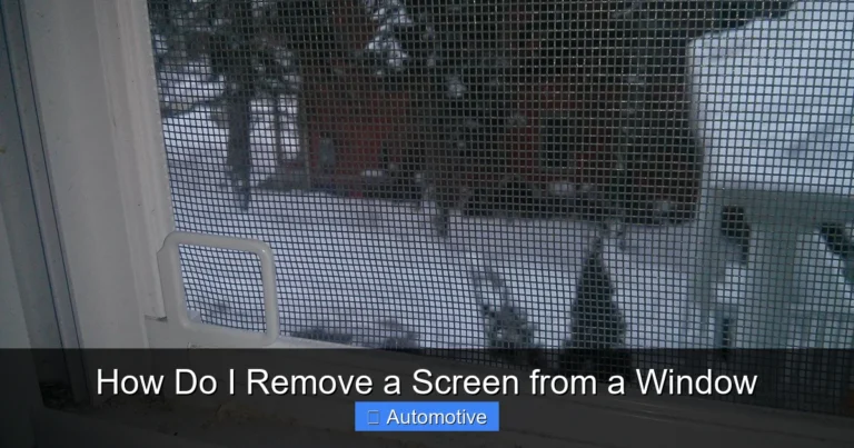 How Do I Remove a Screen from a Window