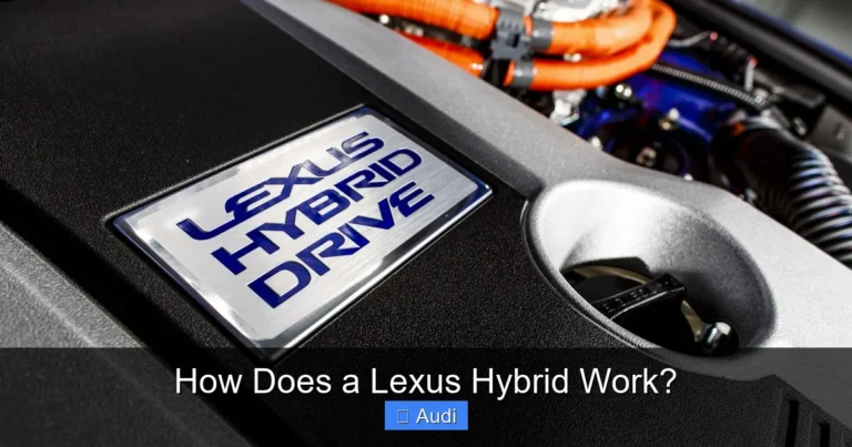 How Does a Lexus Hybrid Work?