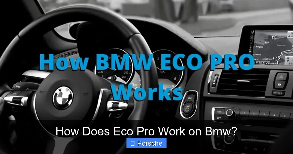 How Does Eco Pro Work on Bmw?