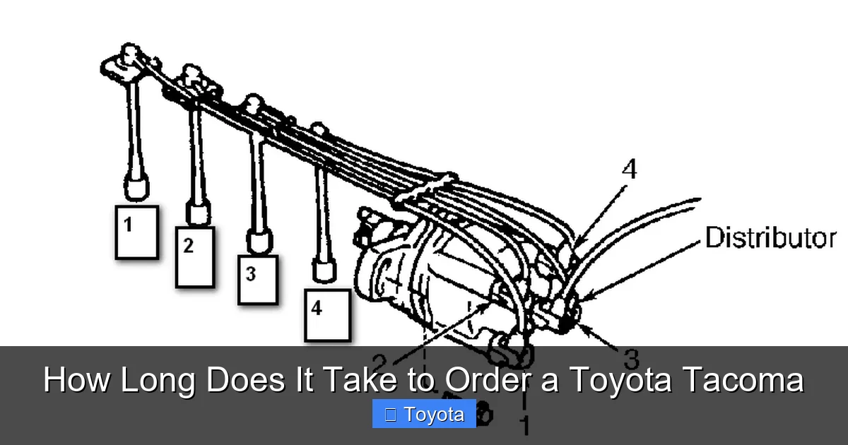 How Long Does It Take to Order a Toyota Tacoma