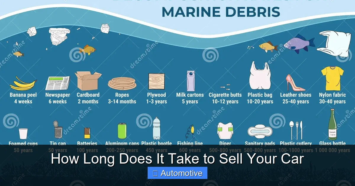 How Long Does It Take to Sell Your Car