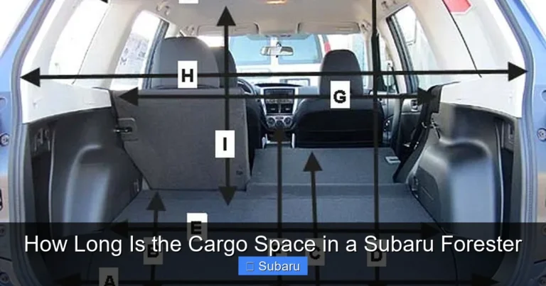 How Long Is the Cargo Space in a Subaru Forester