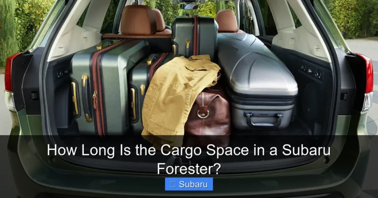 How Long Is the Cargo Space in a Subaru Forester?