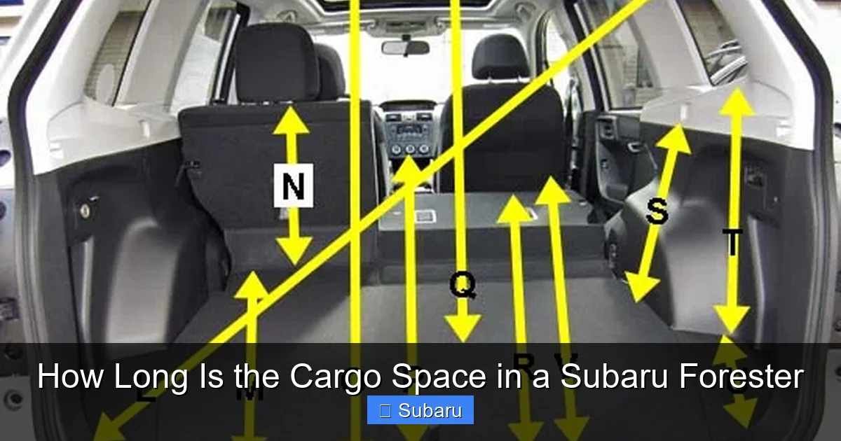 How Long Is the Cargo Space in a Subaru Forester