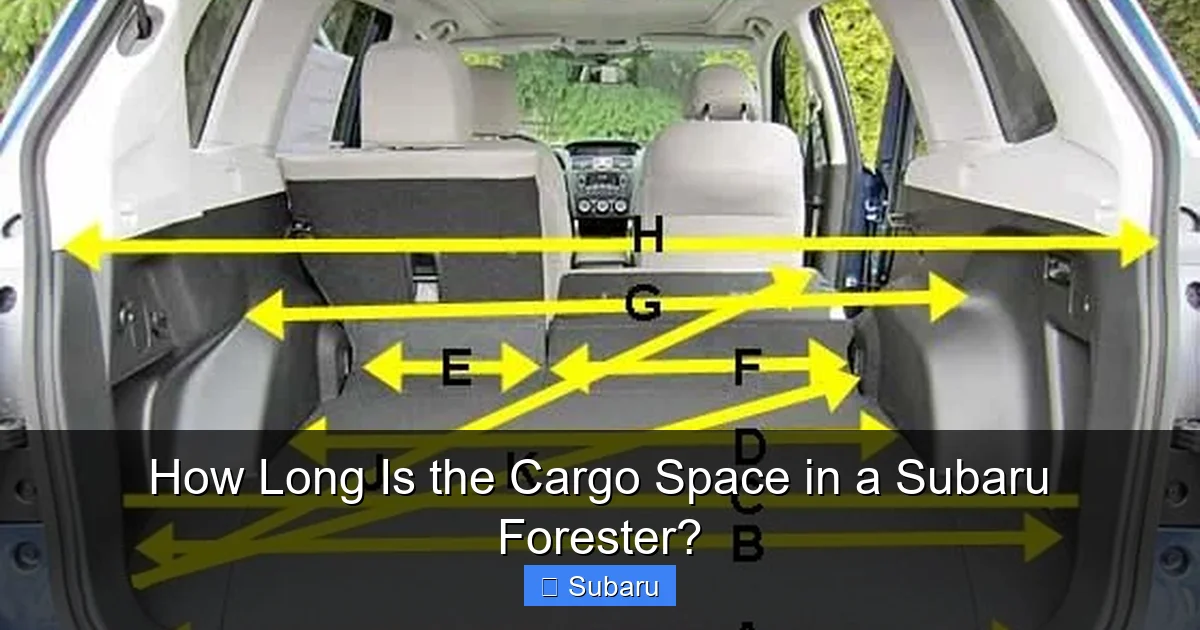 How Long Is the Cargo Space in a Subaru Forester?