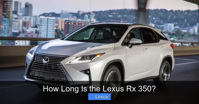 How Long Is the Lexus Rx 350?