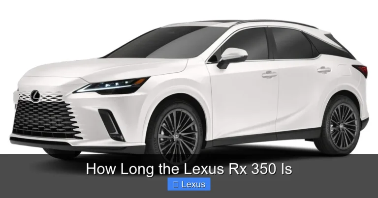 How Long the Lexus Rx 350 Is