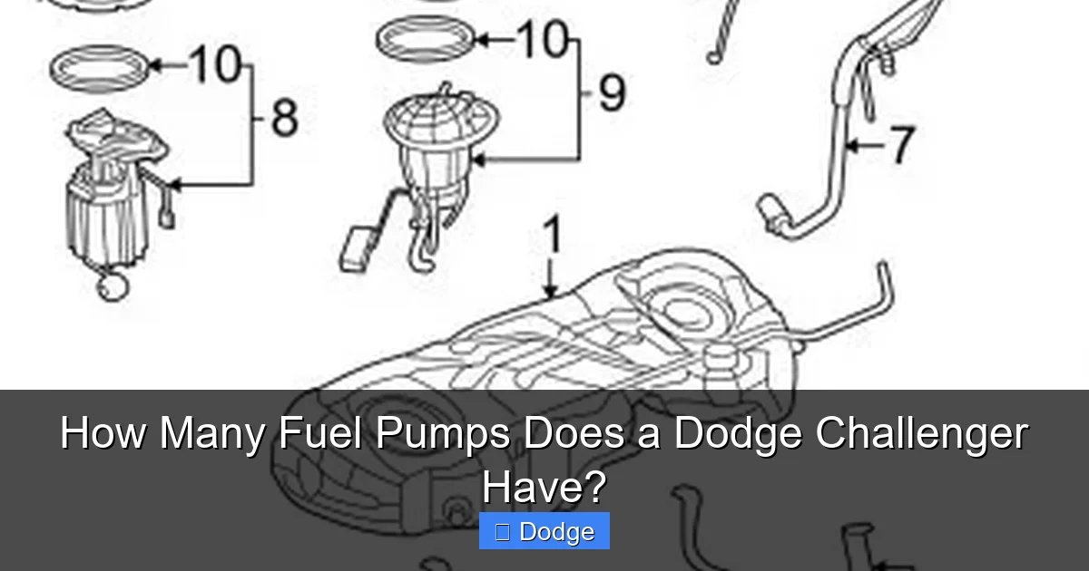 How Many Fuel Pumps Does a Dodge Challenger Have?