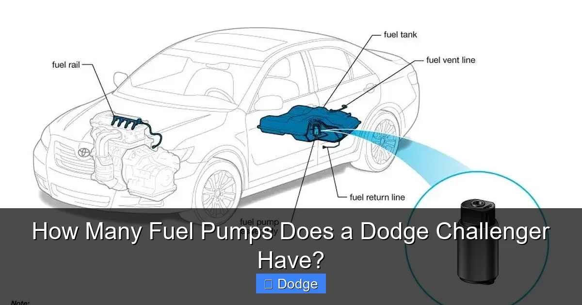 How Many Fuel Pumps Does a Dodge Challenger Have?