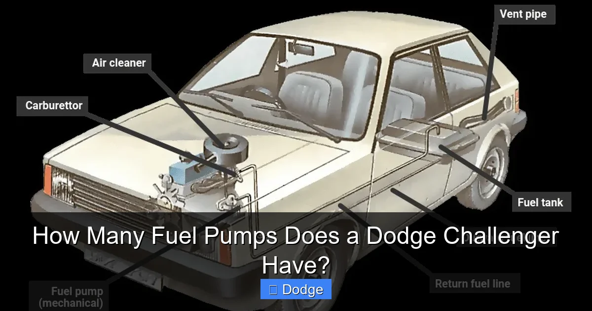 How Many Fuel Pumps Does a Dodge Challenger Have?