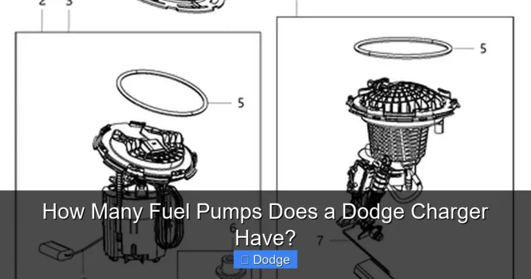 How Many Fuel Pumps Does a Dodge Charger Have?