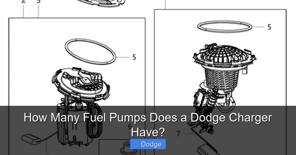 How Many Fuel Pumps Does a Dodge Charger Have?