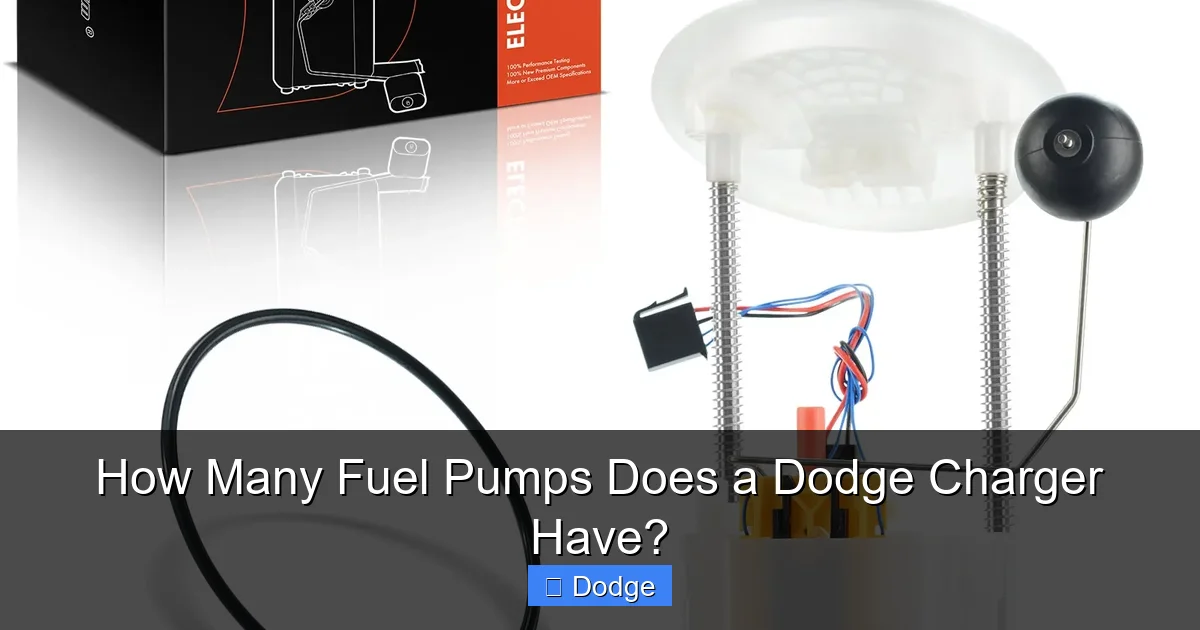 How Many Fuel Pumps Does a Dodge Charger Have?
