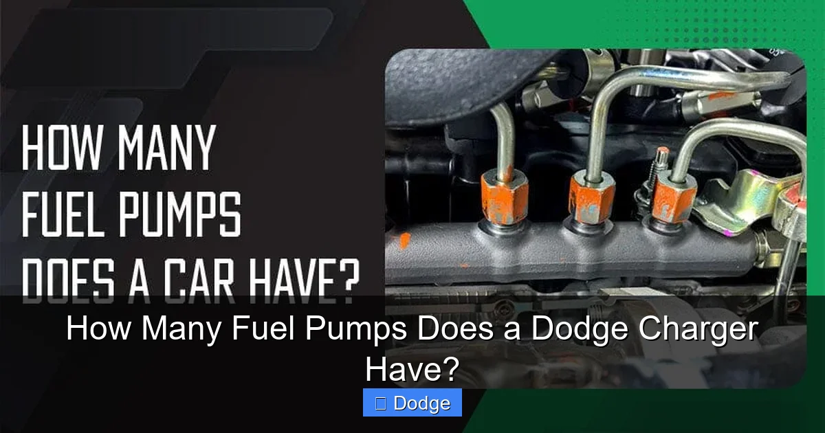 How Many Fuel Pumps Does a Dodge Charger Have?