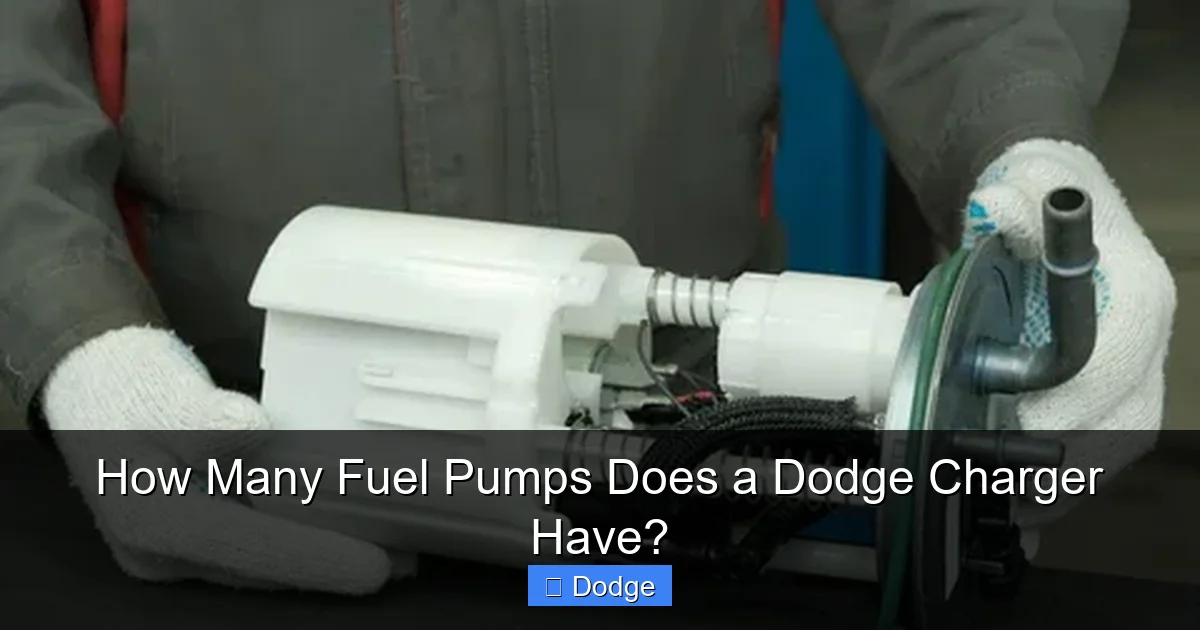 How Many Fuel Pumps Does a Dodge Charger Have?
