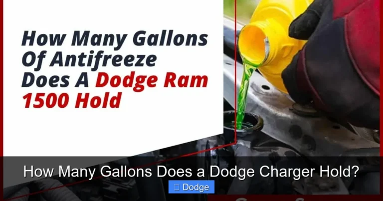 How Many Gallons Does a Dodge Charger Hold?