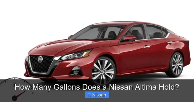 How Many Gallons Does a Nissan Altima Hold?