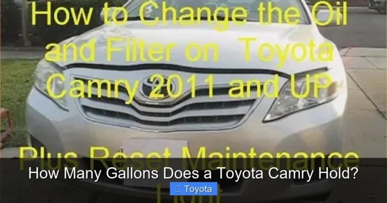 How Many Gallons Does a Toyota Camry Hold?