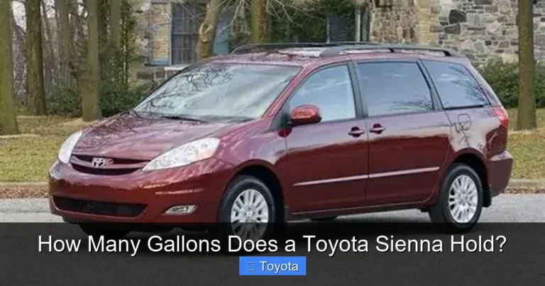 How Many Gallons Does a Toyota Sienna Hold?