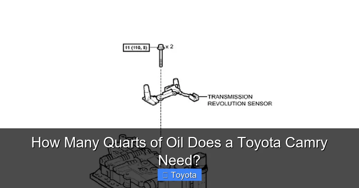 How Many Quarts of Oil Does a Toyota Camry Need?