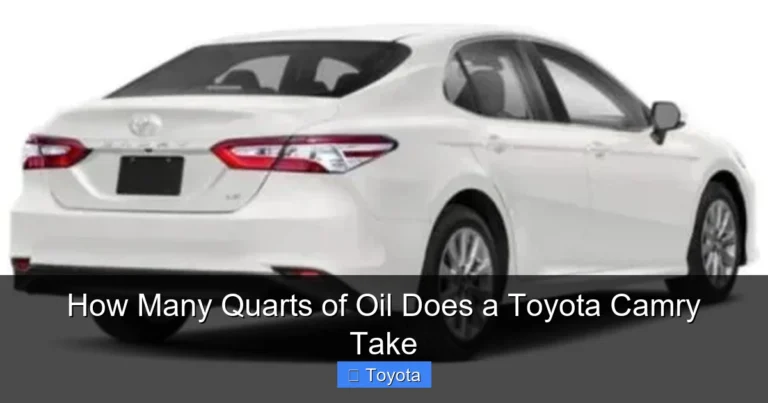 How Many Quarts of Oil Does a Toyota Camry Take