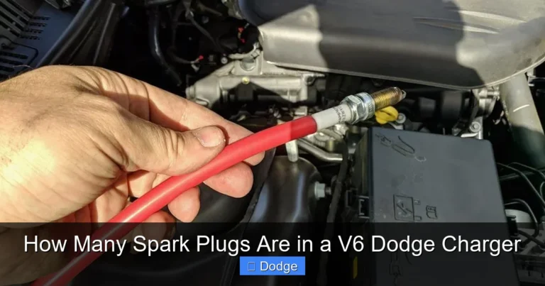 How Many Spark Plugs Are in a V6 Dodge Charger