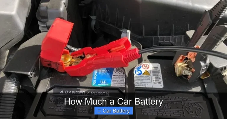 How Much a Car Battery