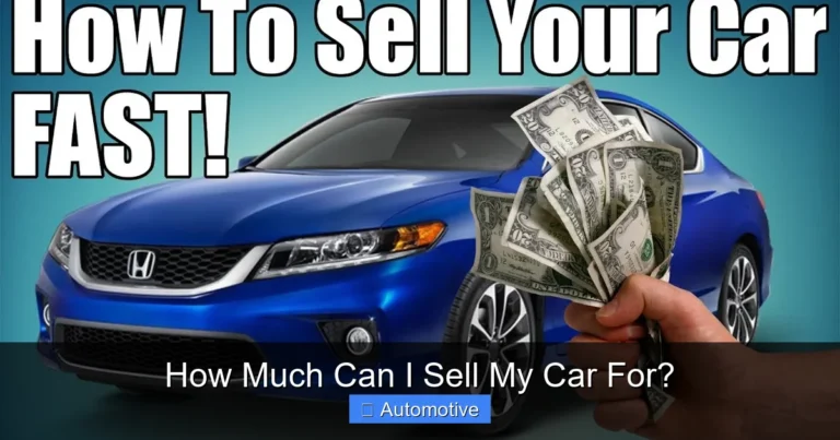 How Much Can I Sell My Car For?