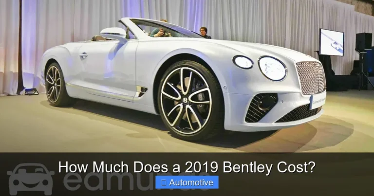 How Much Does a 2019 Bentley Cost?