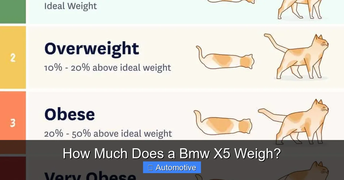 How Much Does a Bmw X5 Weigh?