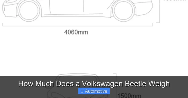 How Much Does a Volkswagen Beetle Weigh