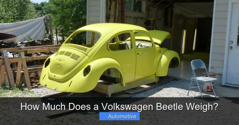 How Much Does a Volkswagen Beetle Weigh?