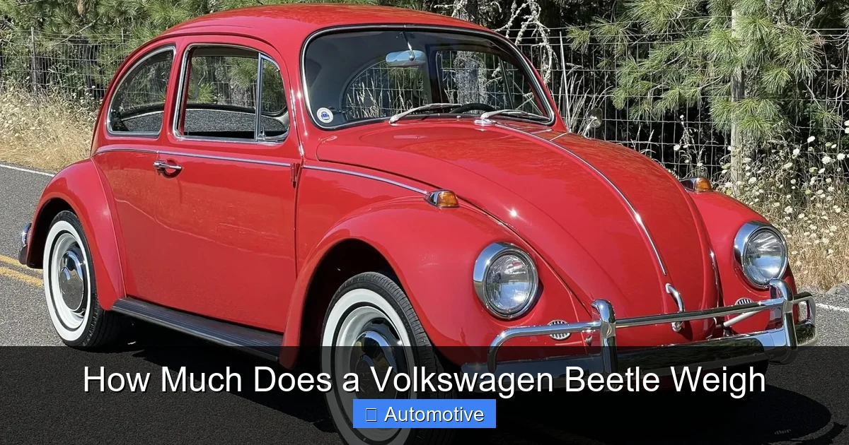 How Much Does a Volkswagen Beetle Weigh