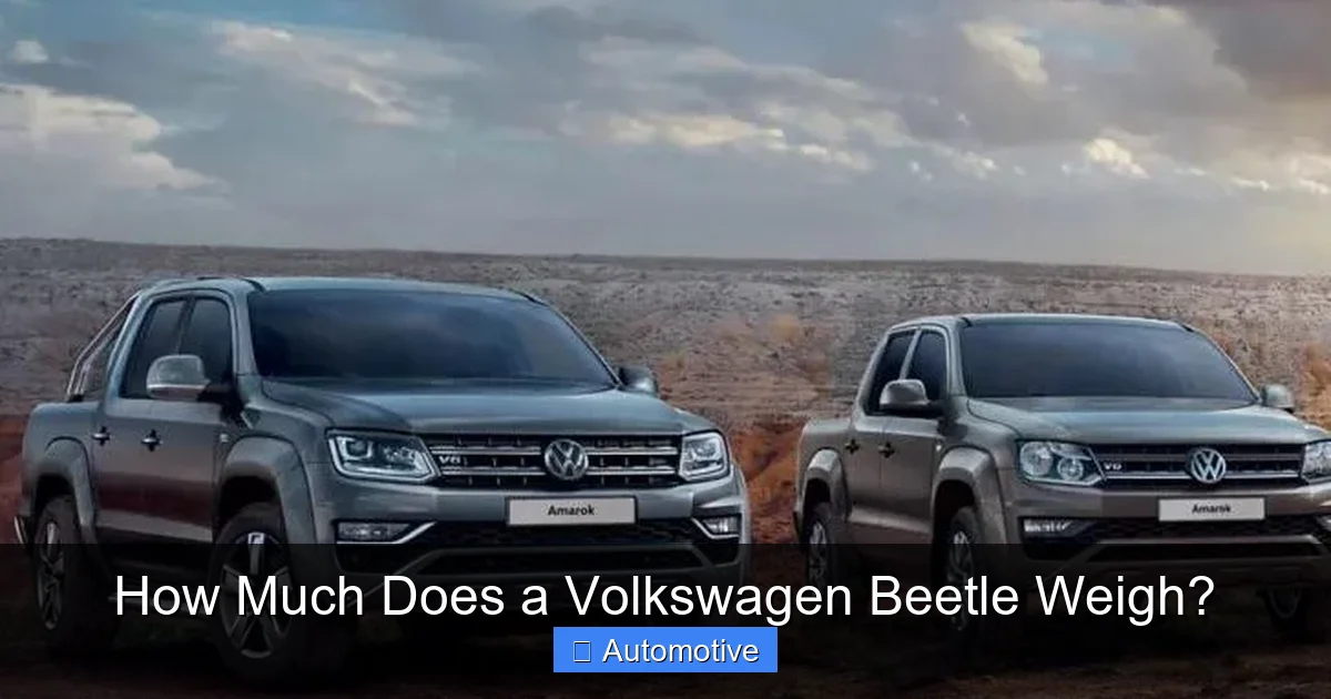 How Much Does a Volkswagen Beetle Weigh?