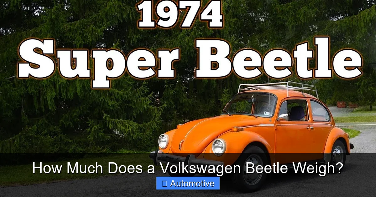 How Much Does a Volkswagen Beetle Weigh?