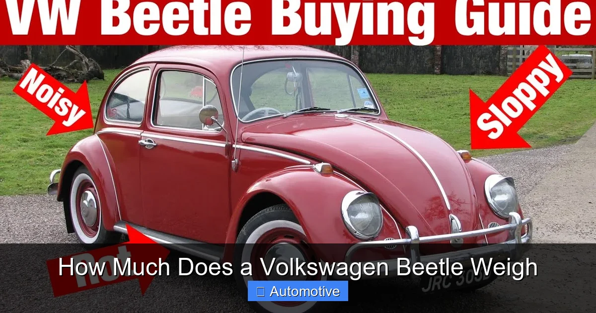 How Much Does a Volkswagen Beetle Weigh