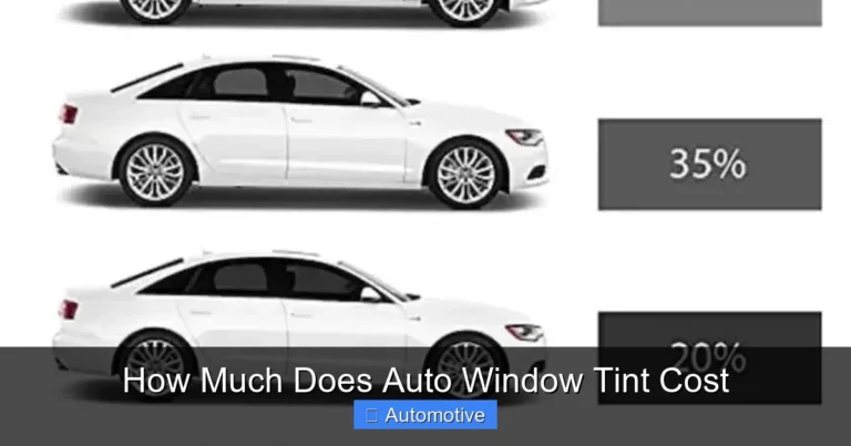 How Much Does Auto Window Tint Cost