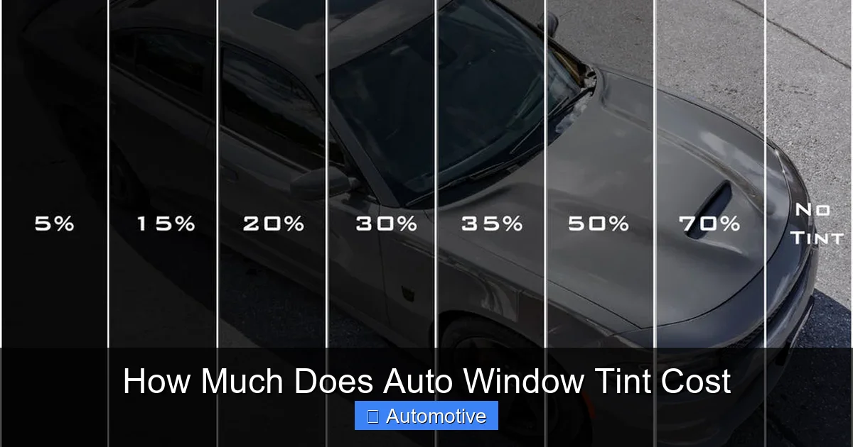 How Much Does Auto Window Tint Cost